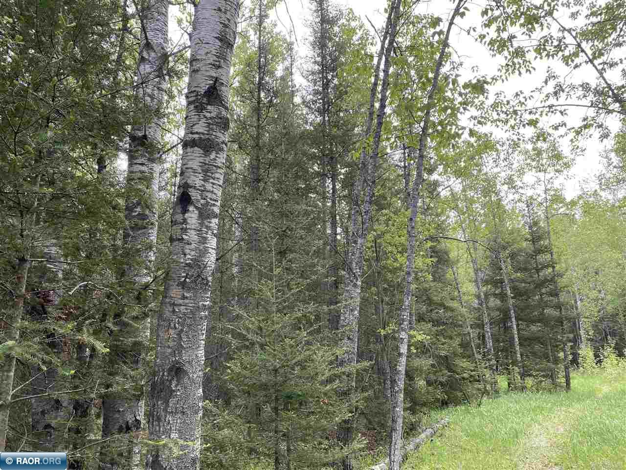 4 & Palo Road Aurora, MN 55705 - Photo 13 of 14