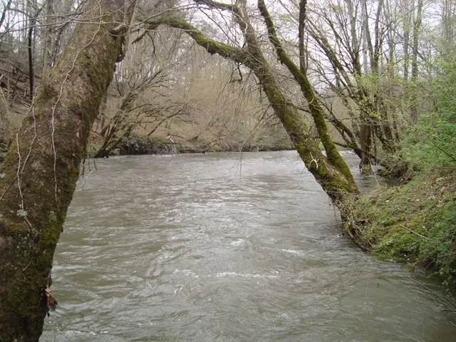 $65,000 | Tbd Turkey Walk Drive, Marble, NC 28905