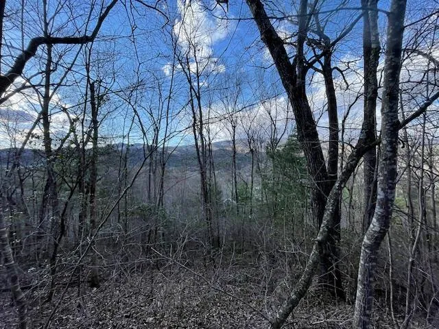 $65,000 | Tbd Turkey Walk Drive, Marble, NC 28905