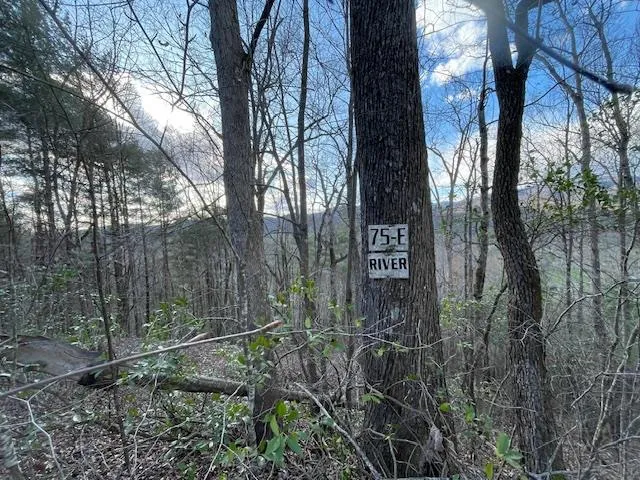 $65,000 | Tbd Turkey Walk Drive, Marble, NC 28905