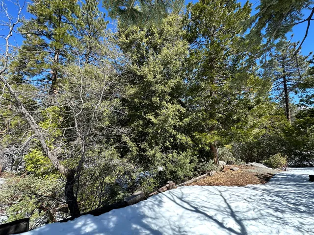 a view of a backyard of the house