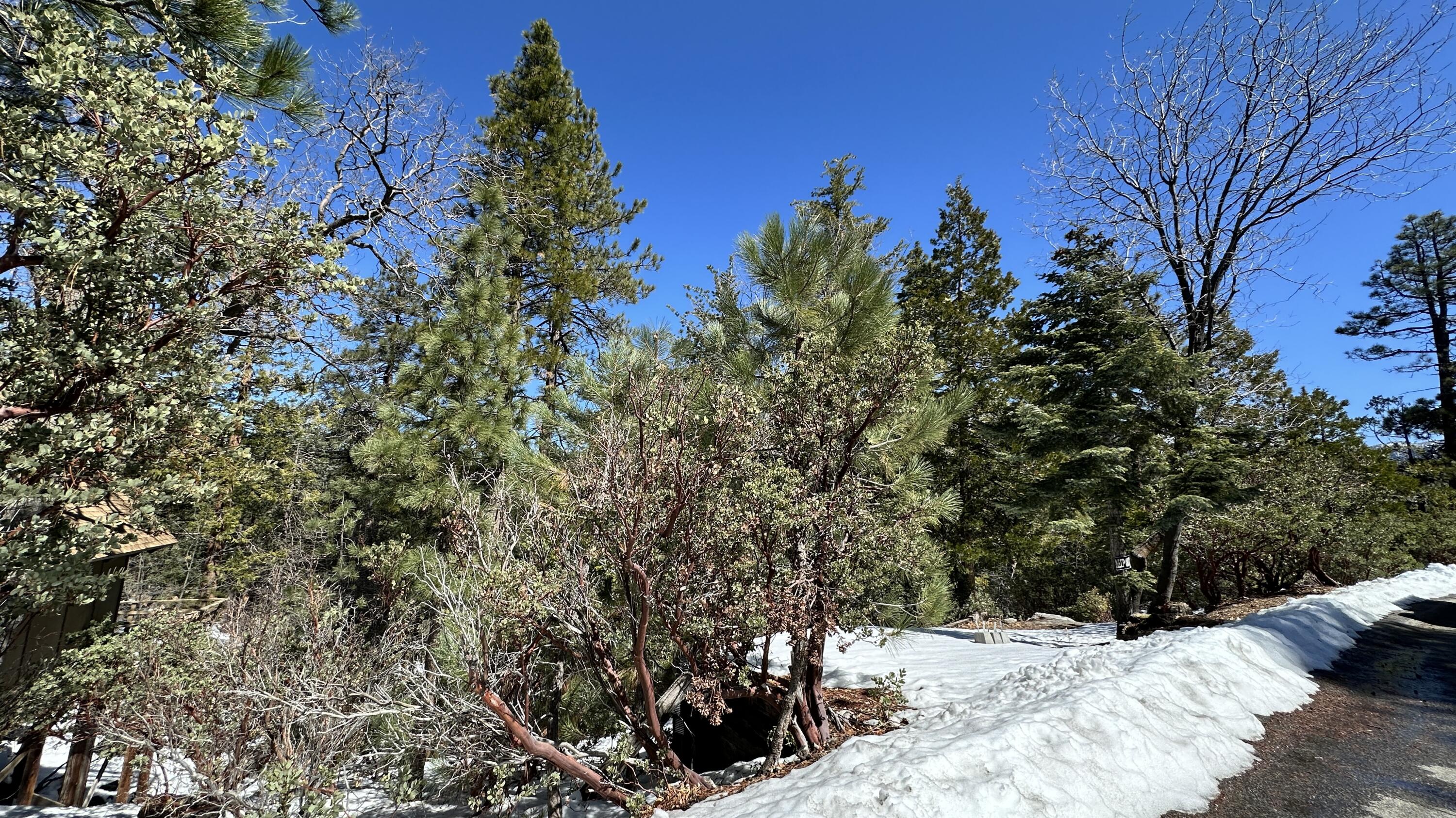 0 Big Rock Drive Idyllwild, CA 92549 - Photo 7 of 12 a view of a yard covered with snow in front of house