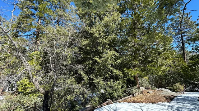 a view of a backyard of the house