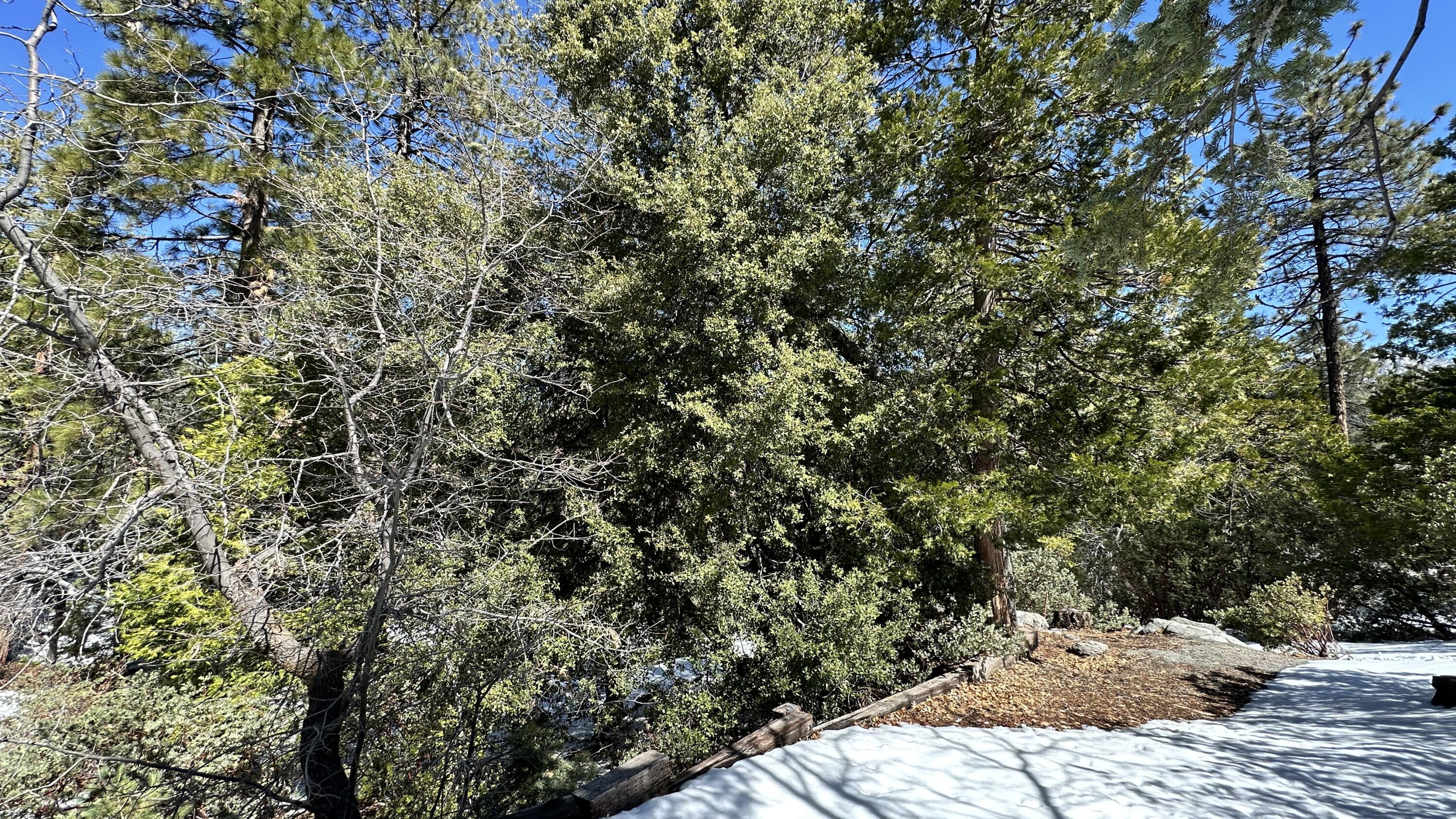 0 Big Rock Drive Idyllwild, CA 92549 - Photo 9 of 12 a view of a backyard of the house