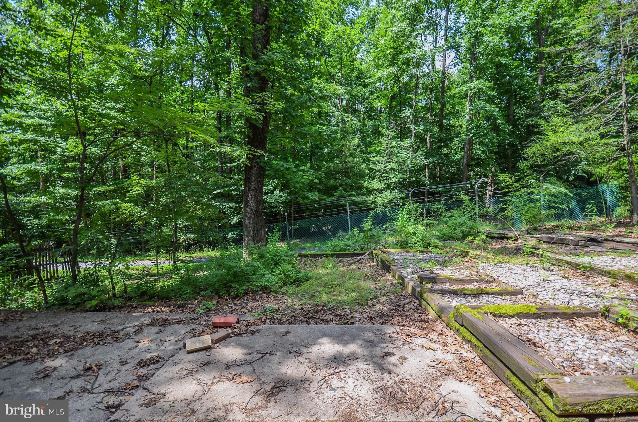 10751 Kinloch Road Silver Spring, MD 20903 - Photo 26 of 30 a view of a backyard with plants and large trees