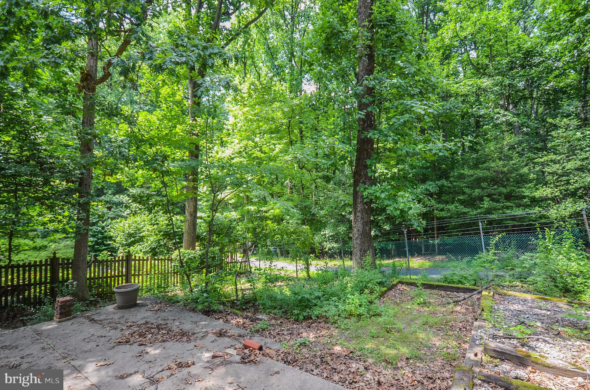 10751 Kinloch Road Silver Spring, MD 20903 - Photo 27 of 30 a view of a garden