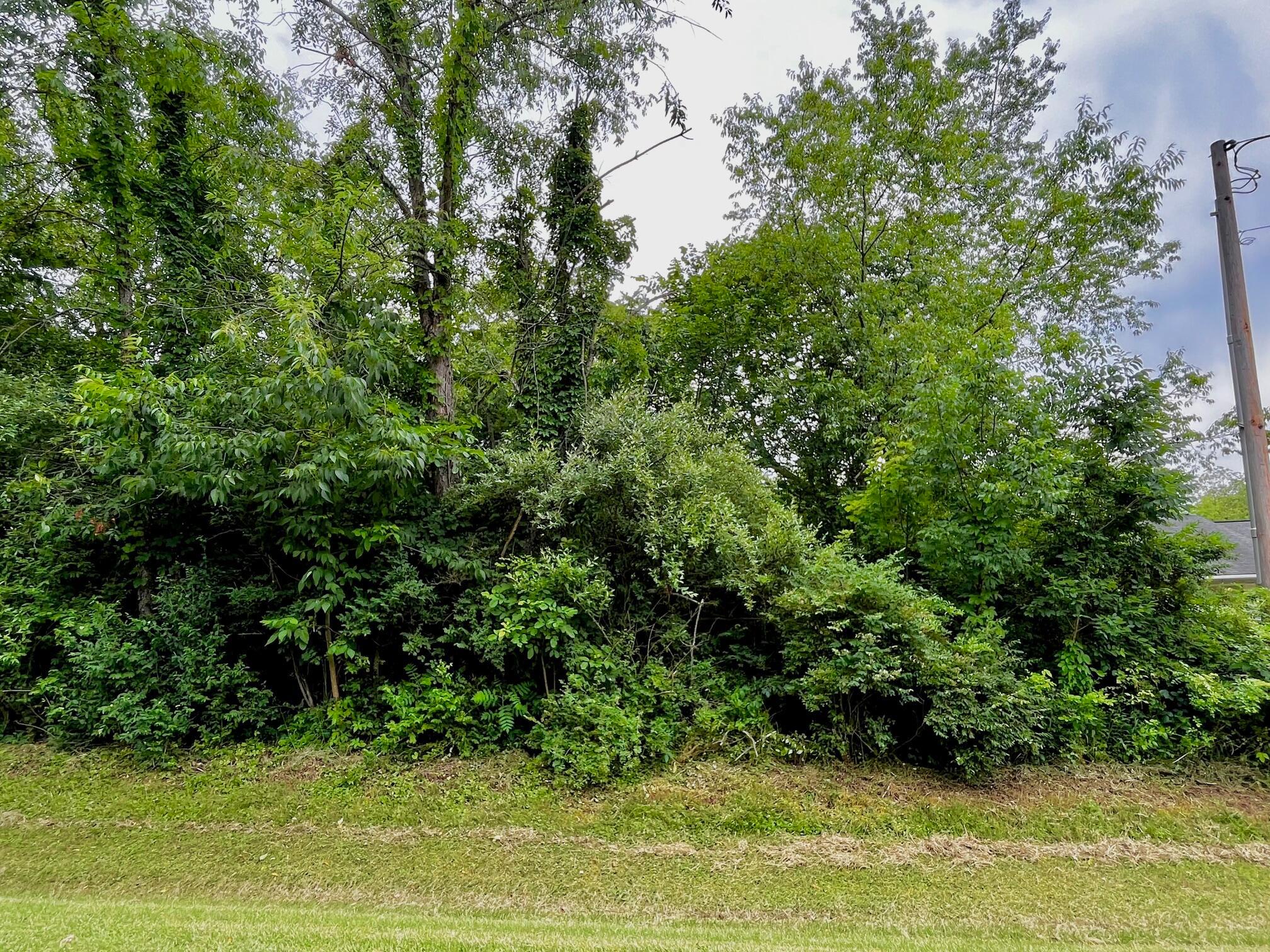 449 Ridgeland Circle Howard, OH 43028 - Photo 1 of 2 Lot 184 Grand Ridge Estates
