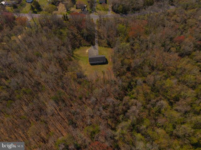 250 Shoemaker Lane Bridgeton, NJ 08302 - Photo 13 of 33 Secluded retreat amidst vibrant woods.