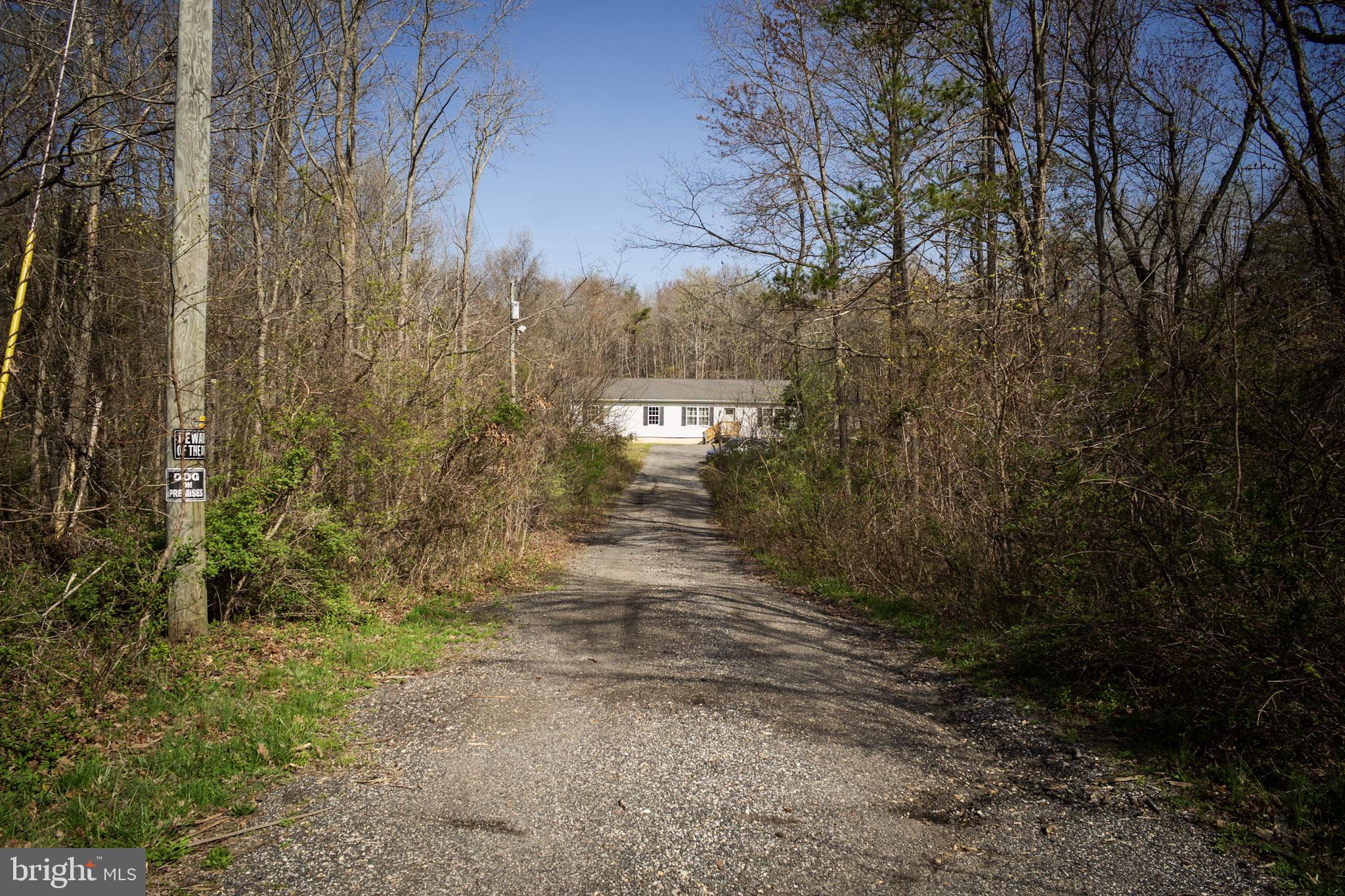 250 Shoemaker Lane Bridgeton, NJ 08302 - Photo 9 of 33 a view of a yard with trees