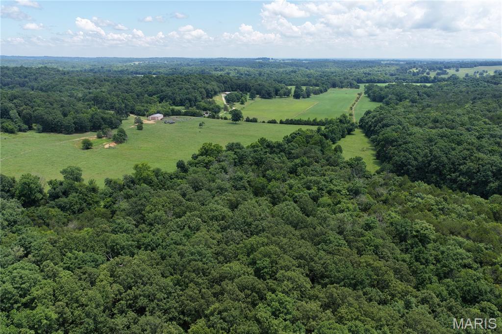 Tbd Fairview Road Imboden, AR 72434 - Photo 17 of 24