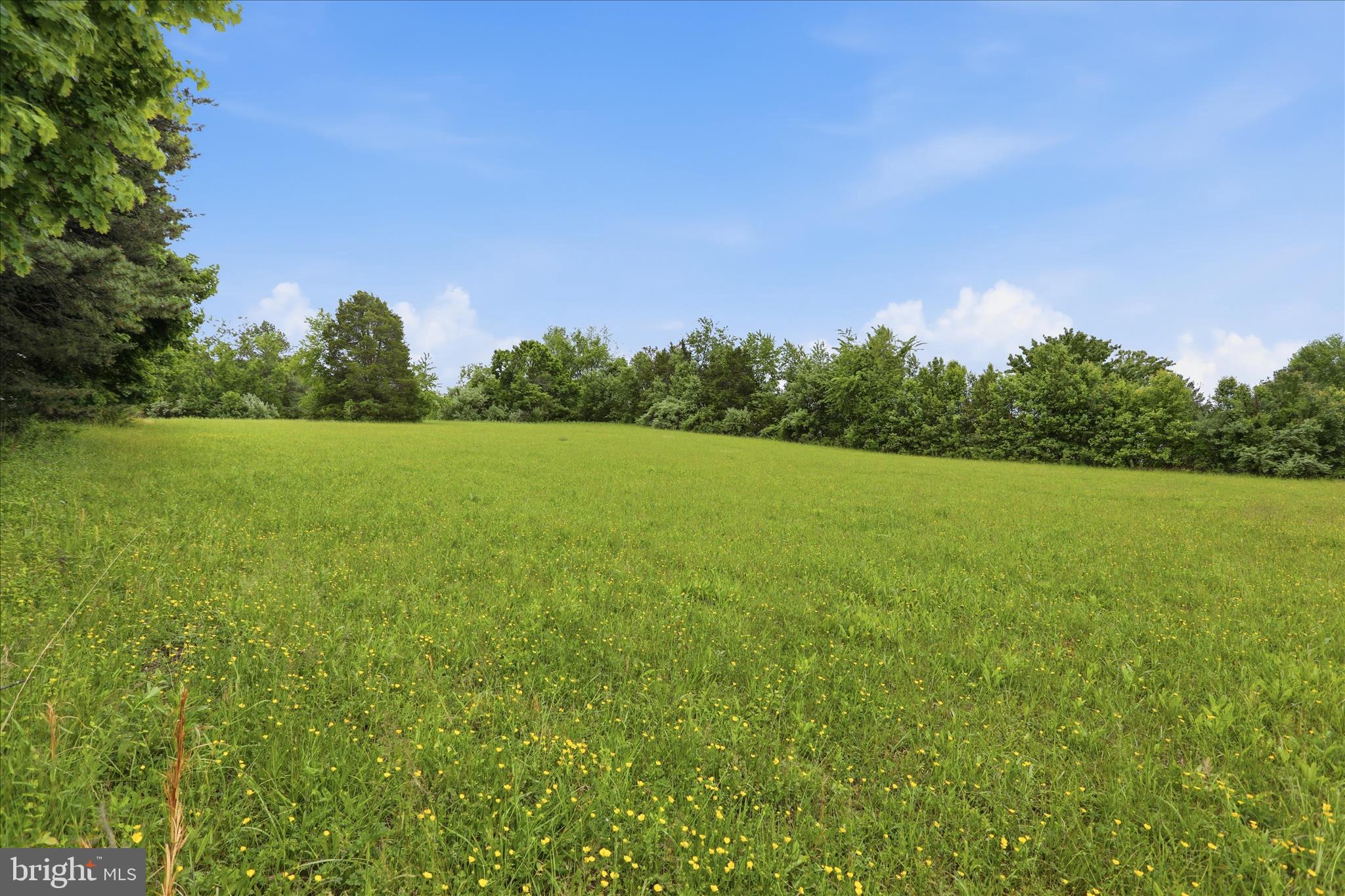 Williamsport Pike Falling Waters, WV 25419 - Photo 11 of 19 a view of a field with an ocean