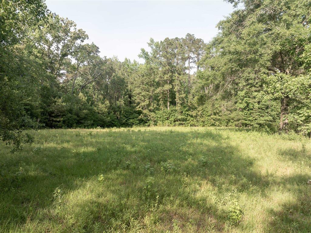 575 West River Road Glenmora, LA 71433 - Photo 20 of 46