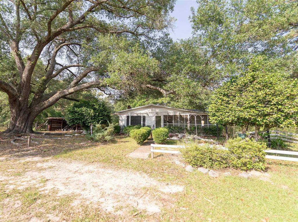 575 West River Road Glenmora, LA 71433 - Photo 2 of 46