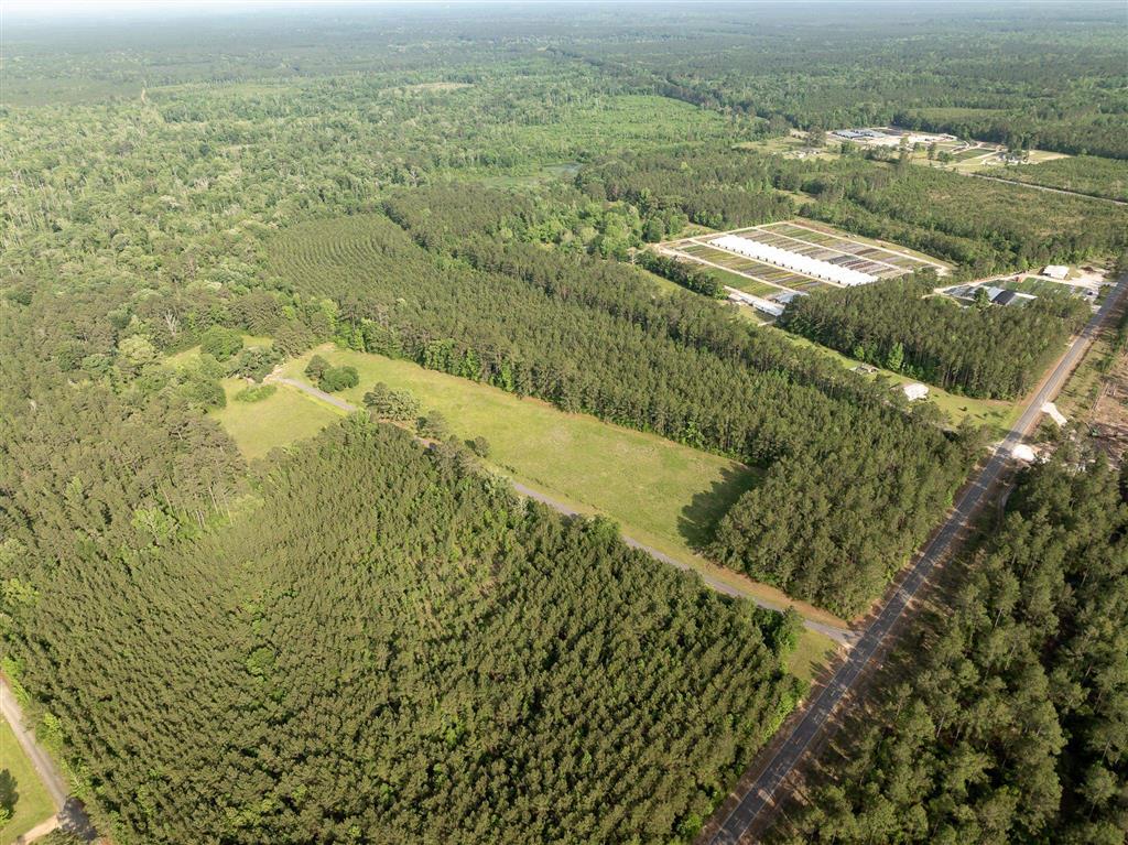 575 West River Road Glenmora, LA 71433 - Photo 26 of 46