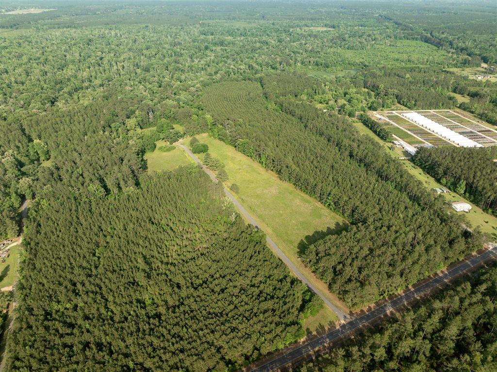 575 West River Road Glenmora, LA 71433 - Photo 27 of 46