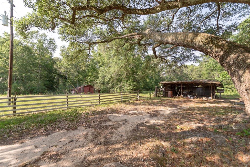 575 West River Road Glenmora, LA 71433 - Photo 3 of 46