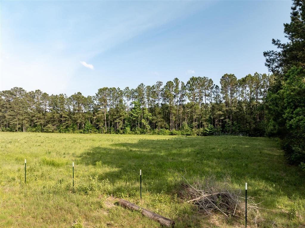 575 West River Road Glenmora, LA 71433 - Photo 40 of 46
