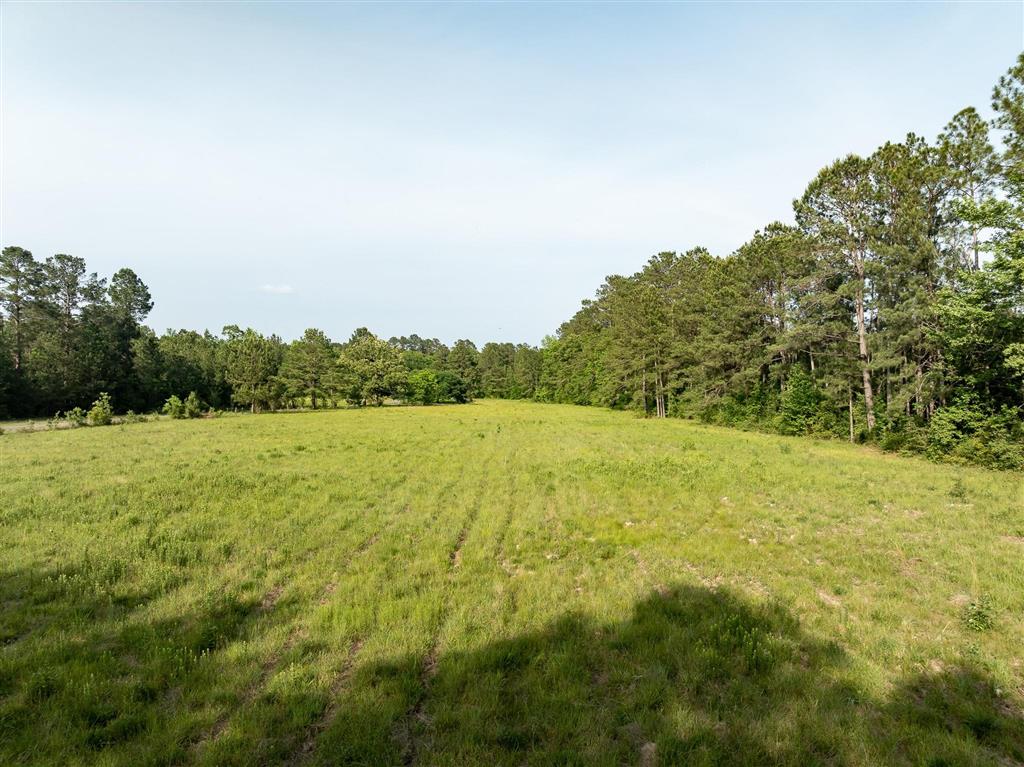 575 West River Road Glenmora, LA 71433 - Photo 41 of 46