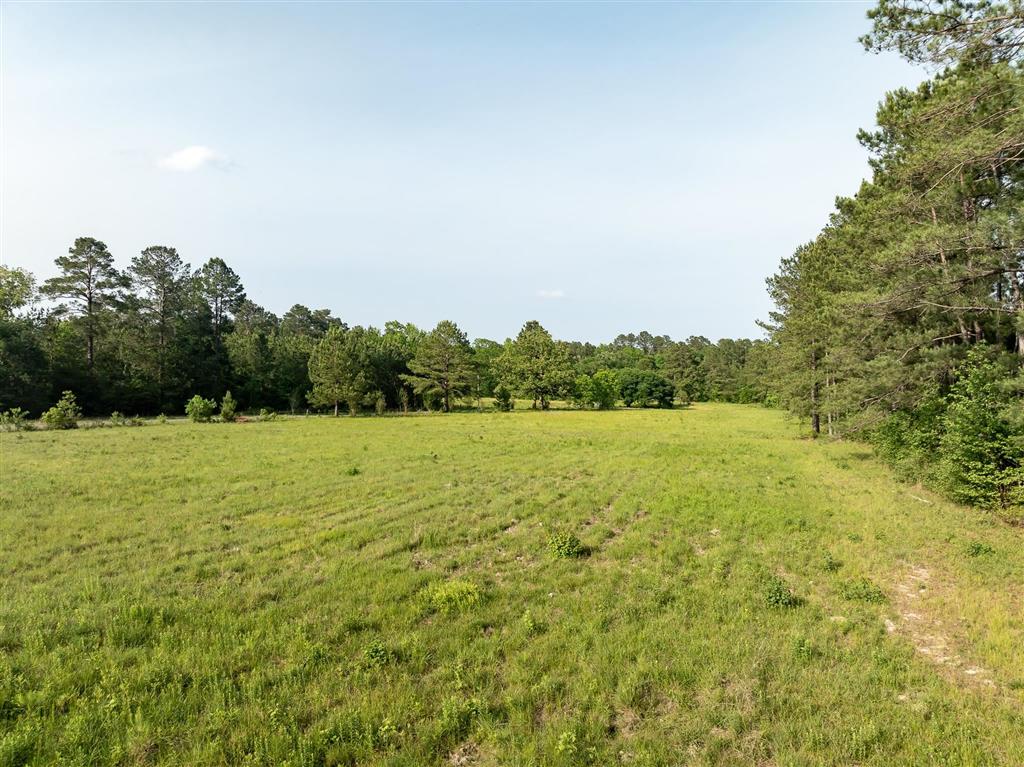 575 West River Road Glenmora, LA 71433 - Photo 42 of 46