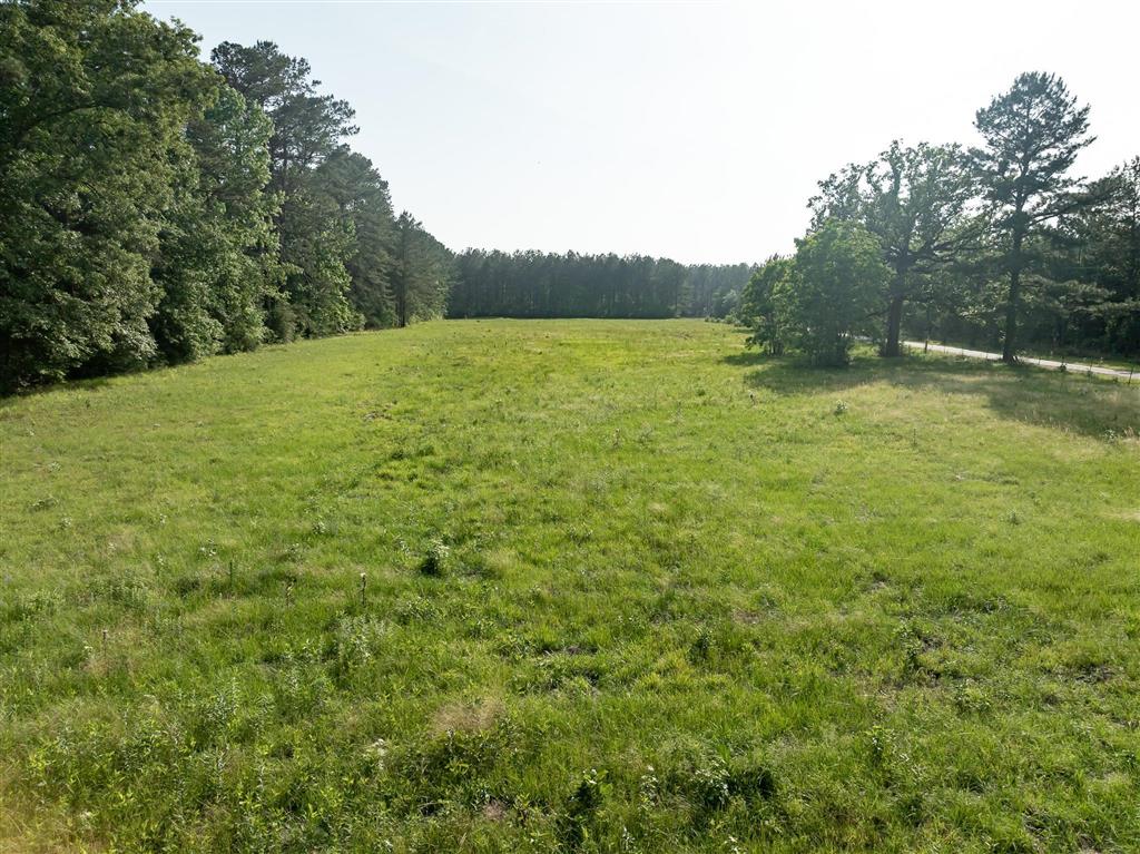 575 West River Road Glenmora, LA 71433 - Photo 44 of 46
