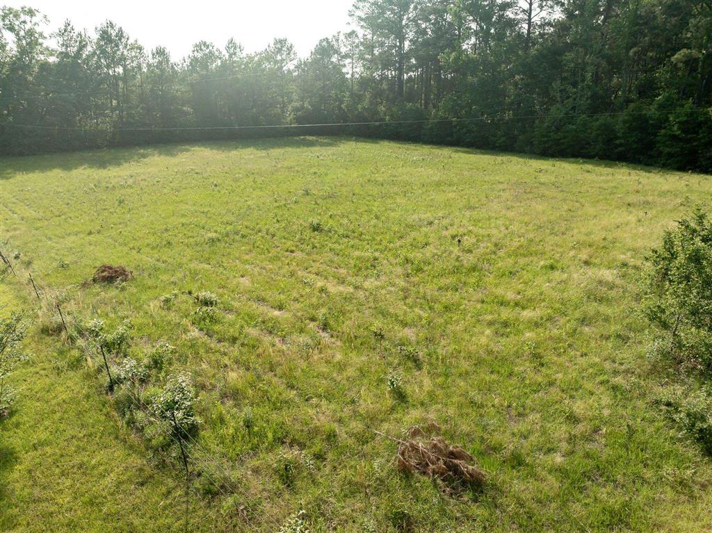 575 West River Road Glenmora, LA 71433 - Photo 45 of 46