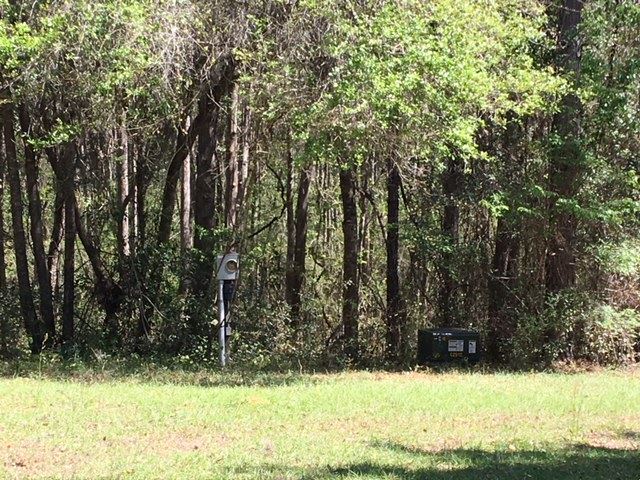 13158 Highway 98 Foley, AL 36535 - Photo 3 of 10