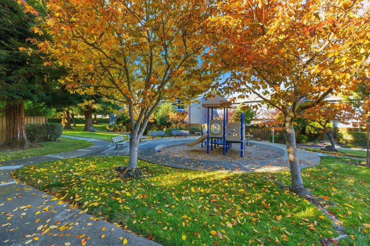 1542 Canna Court Mountain View, CA 94043 - Photo 30 of 34 a view of a yard with plants