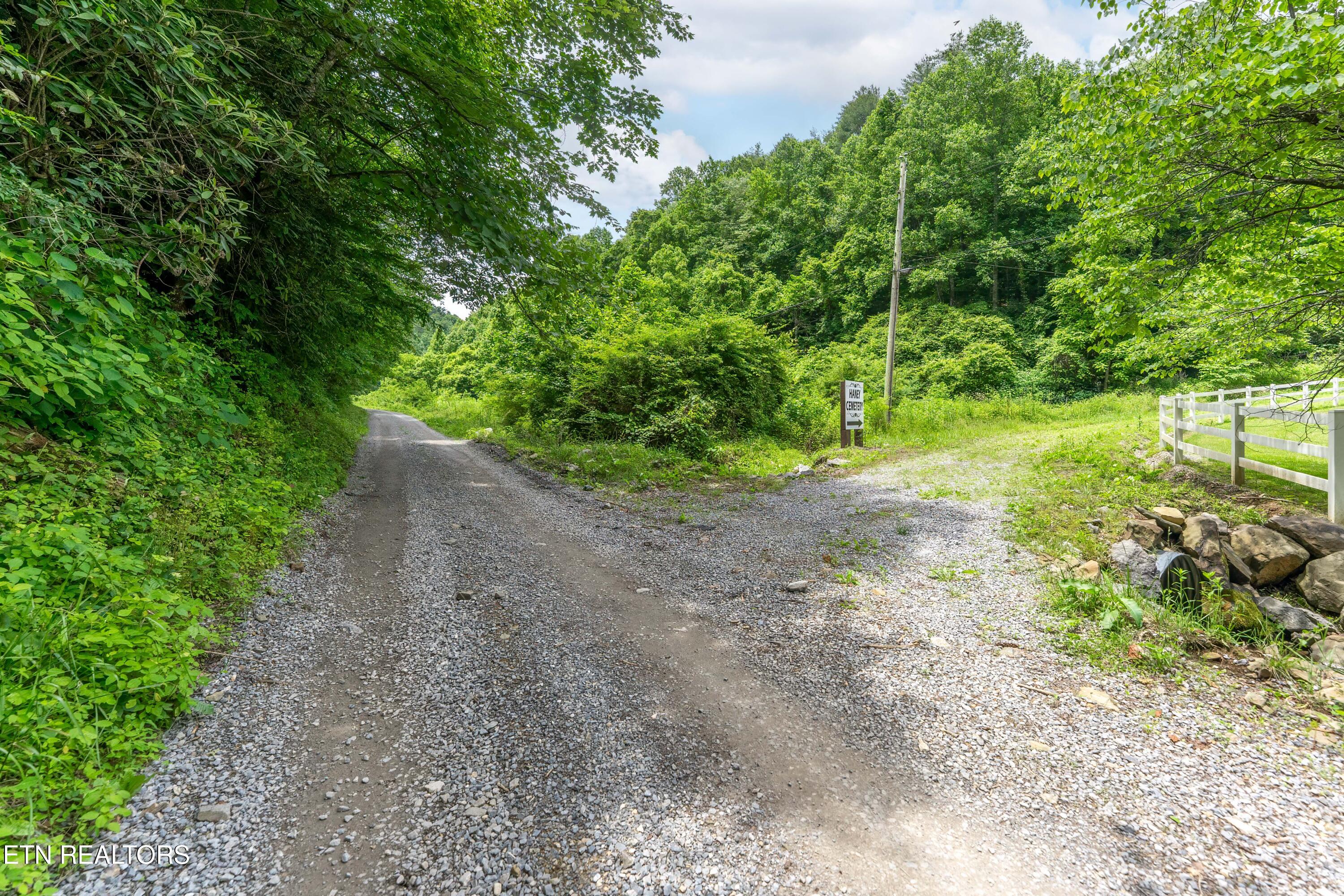 Johns Creek Road Del Rio, TN 37727 - Photo 10 of 17 _DSC3674-Edit-Edit