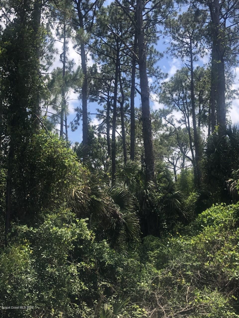 0 Richy Road Mims, FL 32754 - Photo 2 of 5 pic 3
