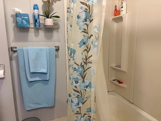 a bathroom with a bathtub and shower