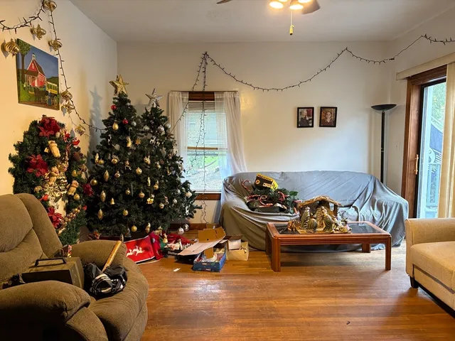 a living room with furniture and a potted plant