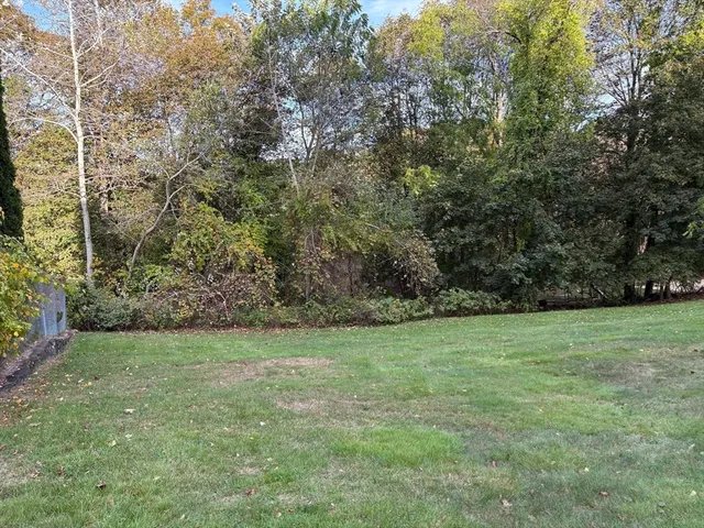 a view of a grassy field with trees