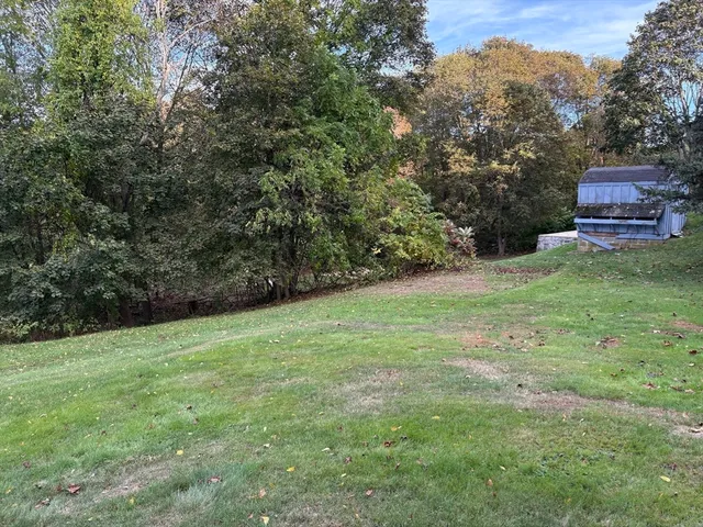 a view of a yard with a tree