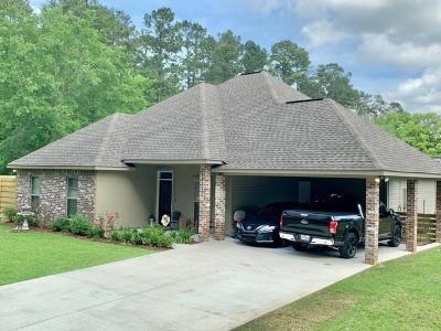 24320 St Cyr Lane Springfield, LA 70462 - Photo 1 of 15