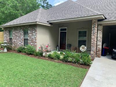 24320 St Cyr Lane Springfield, LA 70462 - Photo 3 of 15