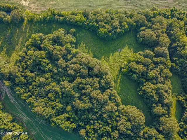 $172,000 | 470 Marbury Road, Brownsville, TN 38012