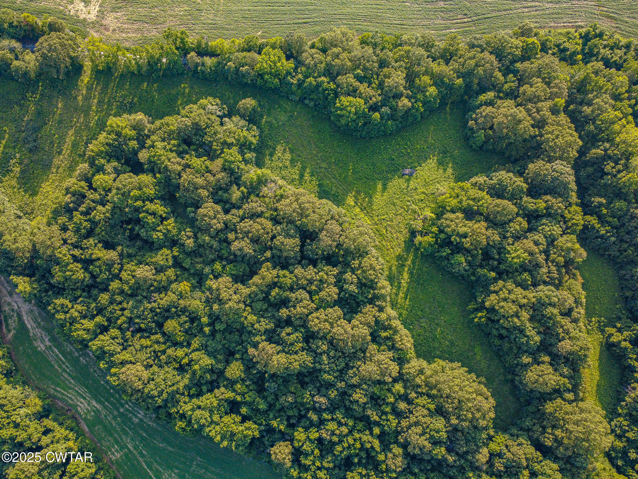 470 Marbury Road Brownsville, TN 38012 - Photo 3 of 6 DJI_0820