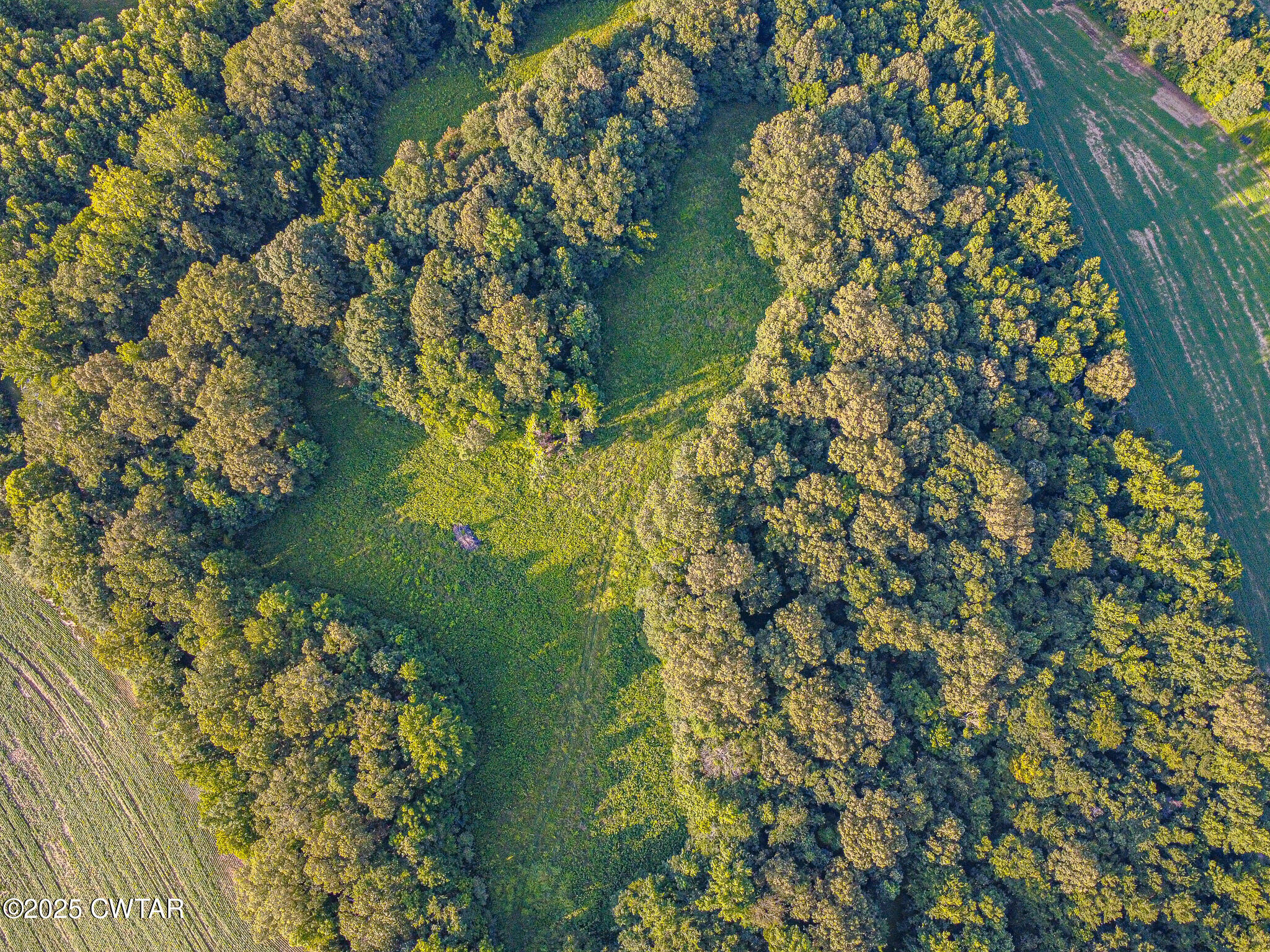 470 Marbury Road Brownsville, TN 38012 - Photo 4 of 6 DJI_0821