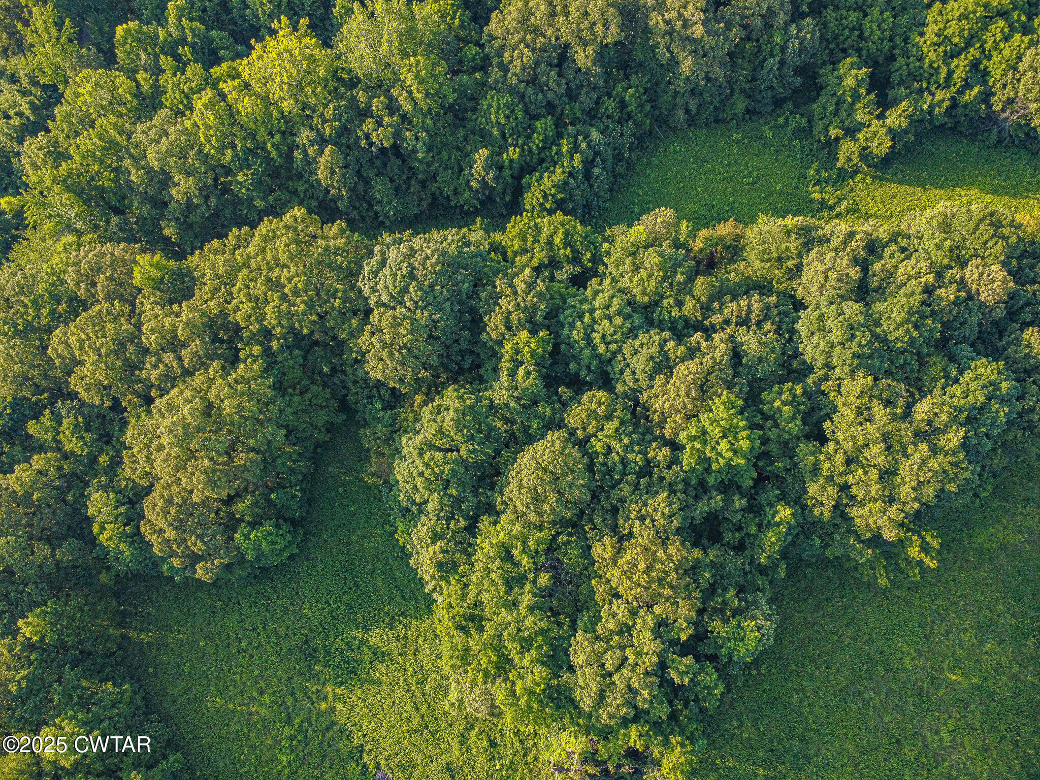 470 Marbury Road Brownsville, TN 38012 - Photo 6 of 6 DJI_0823