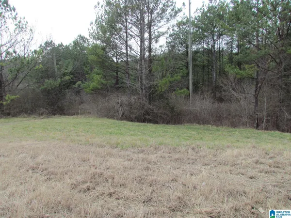$200,000 | 0 Highway 75, Oneonta, AL 35121