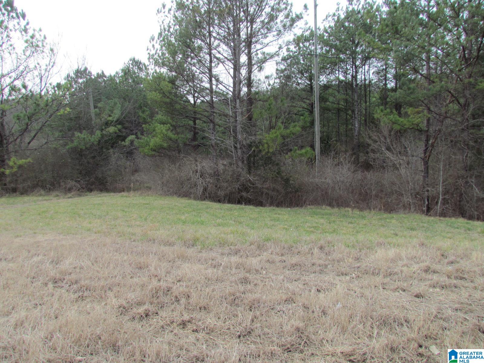 0 Highway 75 Oneonta, AL 35121 - Photo 1 of 6