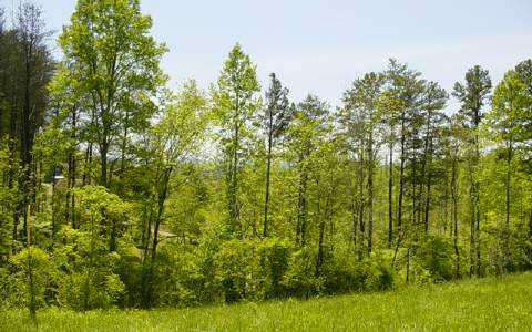 Price Weaver Road Murphy, NC 28906 - Photo 1 of 1 Main View