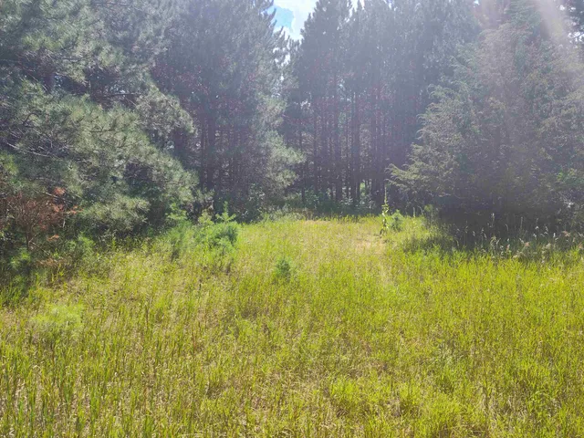 $44,900 | Lot 114 County Rd Z, Nekoosa, WI 54457