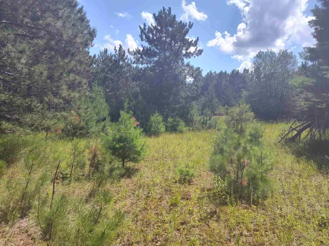 $44,900 | Lot 114 County Rd Z, Nekoosa, WI 54457