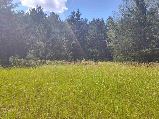 $44,900 | Lot 114 County Rd Z, Nekoosa, WI 54457