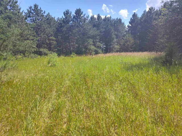 $44,900 | Lot 114 County Rd Z, Nekoosa, WI 54457