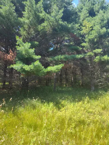 $44,900 | Lot 114 County Rd Z, Nekoosa, WI 54457
