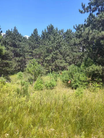 $44,900 | Lot 114 County Rd Z, Nekoosa, WI 54457