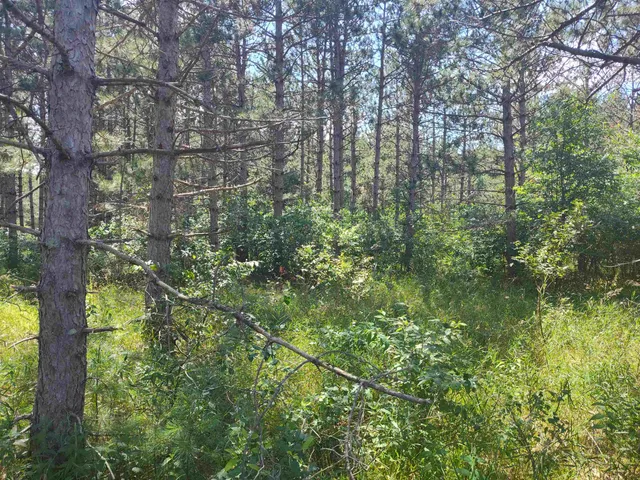 $44,900 | Lot 114 County Rd Z, Nekoosa, WI 54457