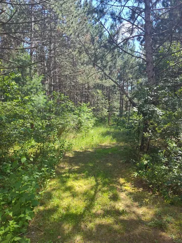 $44,900 | Lot 114 County Rd Z, Nekoosa, WI 54457